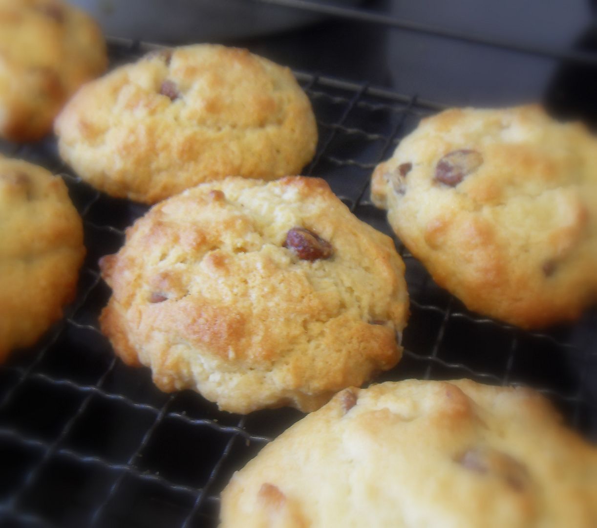 The English Kitchen Jaffa Rock Cakes